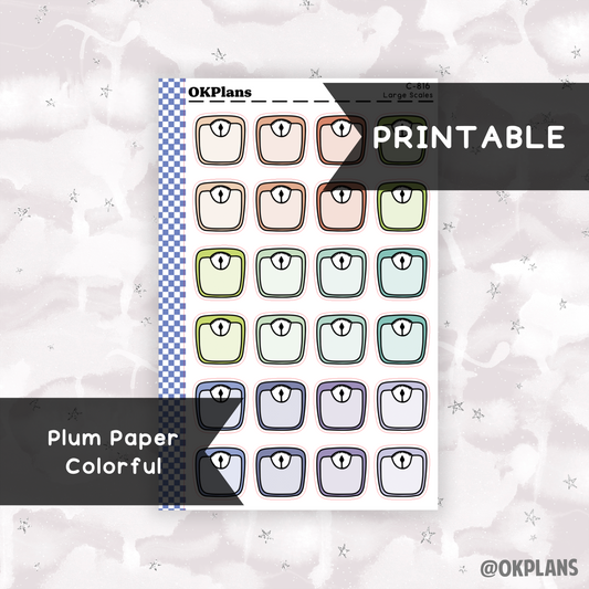 Large Scales // Plum Paper Colorful // Printable // C-816 // Multicolor Functional