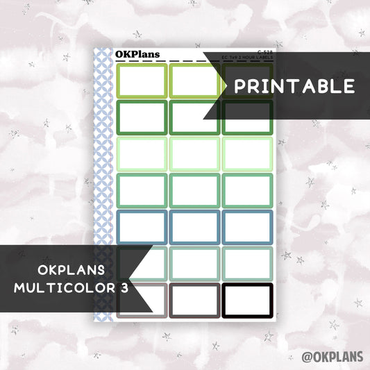 2 HR 7x9 EC Labels // Multicolor 3 // Printable // C-528 // Multicolor Functional