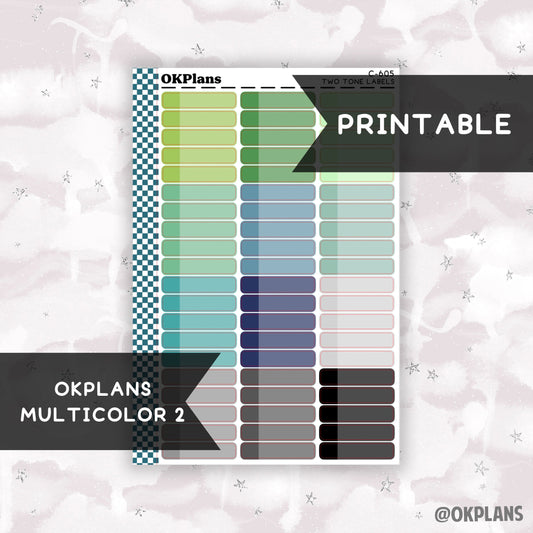 Two Tone Label // Multicolor 1 // Printable // C-605 // Multicolor Functional