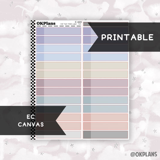 1 HR Two Tone Daily Label // EC Canvas // Printable // C-620 // EC 7x9 Daily Duo // Multicolor Functional