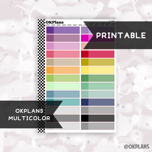 1 HR Two Tone Daily Label // Multicolor // Printable // C-612 // EC A5 Daily Duo // Multicolor Functional