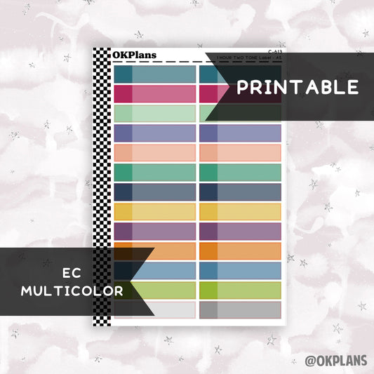 1 HR Two Tone Daily Label // EC Multicolor // Printable // C-613 // EC A5 Daily Duo // Multicolor Functional