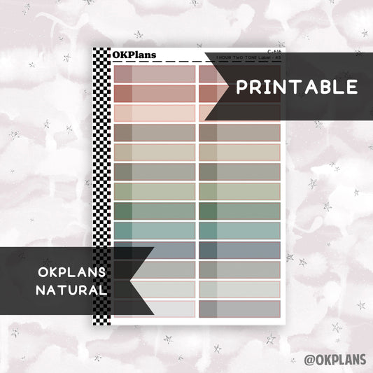 1 HR Two Tone Daily Label // Natural // Printable // C-616 // EC A5 Daily Duo // Multicolor Functional