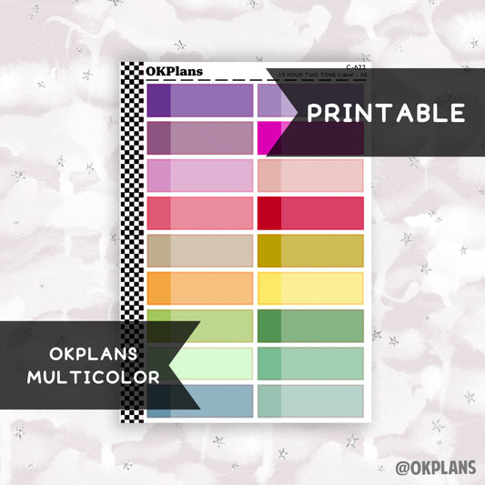 1.5 HR Two Tone Daily Label // Multicolor // Printable // C-622 // EC A5 Daily Duo // Multicolor Functional