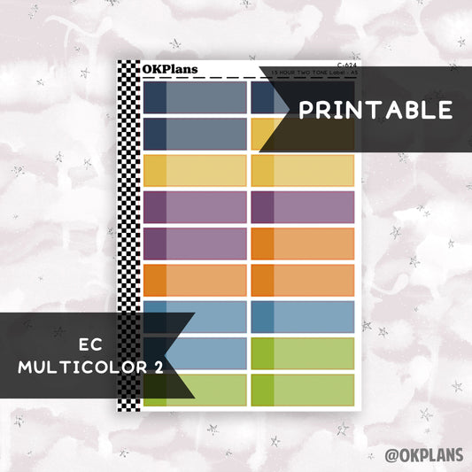 1.5 HR Two Tone Daily Label // EC Multicolor 2 // Printable // C-624 // EC A5 Daily Duo // Multicolor Functional