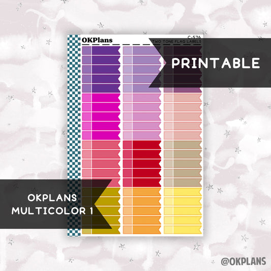 Two Tone Flag // Multicolor 1 // Printable // C-576 // Multicolor Functional