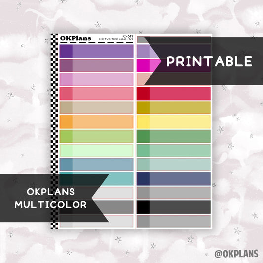 1 HR Two Tone Daily Label // Multicolor // Printable // C-617 // EC 7x9 Daily Duo // Multicolor Functional