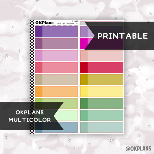 1.5 HR Two Tone Daily Label // Multicolor // Printable // C-629 // EC 7x9 Daily Duo // Multicolor Functional