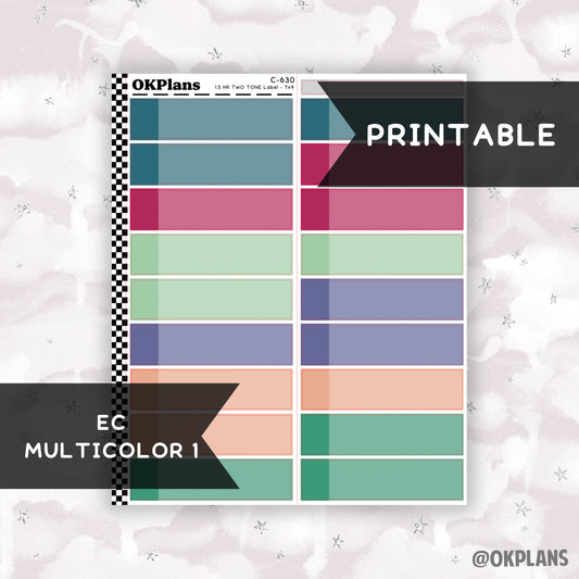 1.5 HR Two Tone Daily Label // EC Multicolor 1 // Printable // C-630 // EC 7x9 Daily Duo // Multicolor Functional