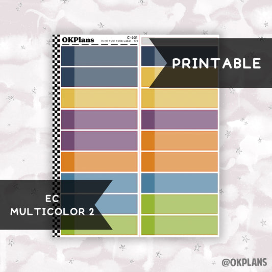 1.5 HR Two Tone Daily Label // EC Multicolor 2 // Printable // C-631 // EC 7x9 Daily Duo // Multicolor Functional