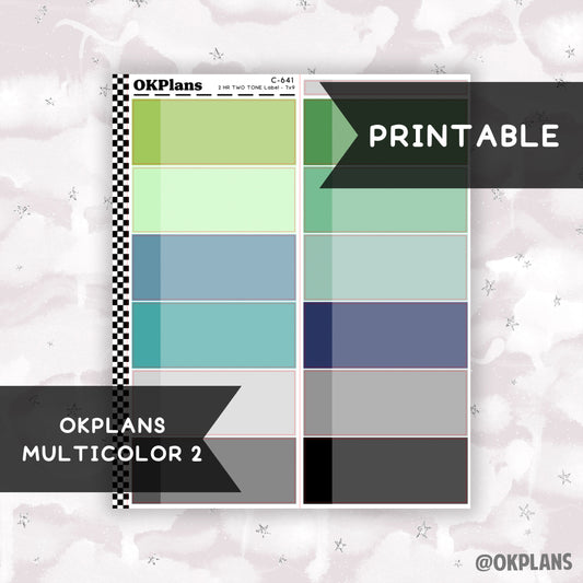 2 HR Two Tone Daily Label // Multicolor 2 // Printable // C-641 // EC 7x9 Daily Duo // Multicolor Functional