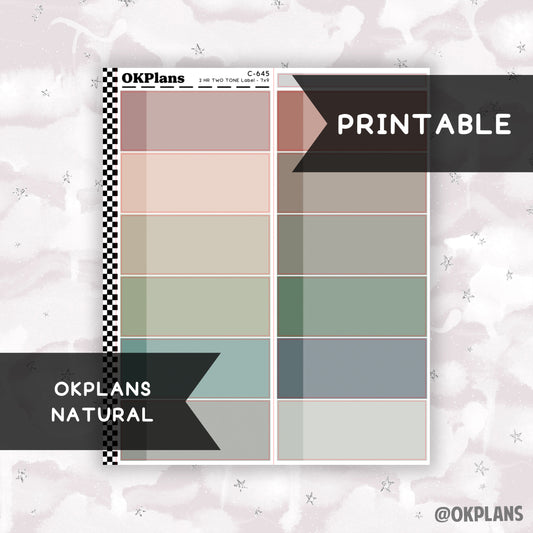 2 HR Two Tone Daily Label // Natural // Printable // C-645 // EC 7x9 Daily Duo // Multicolor Functional