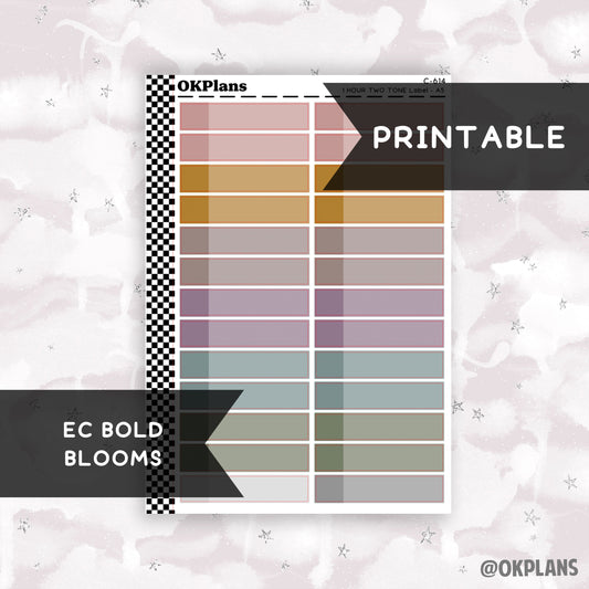 1 HR Two Tone Daily Label // EC Bold Blooms // Printable // C-614 // EC A5 Daily Duo // Multicolor Functional