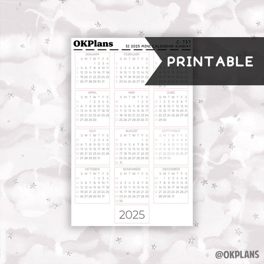 2025 Sterling Ink Mini Calendar - Sunday Start // Printable // C-737 // Functional